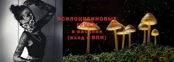 MDMA Premium VHQ Аркадак