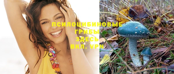 эйфоретик Арсеньев