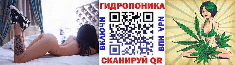 Бошки марихуана SATIVA & INDICA  Аткарск 